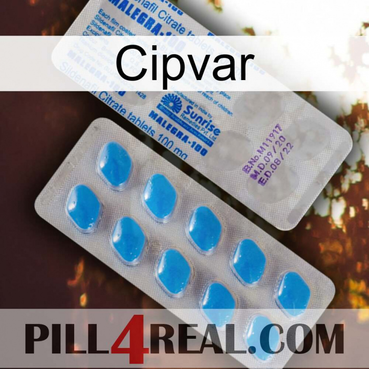 Cipvar new15